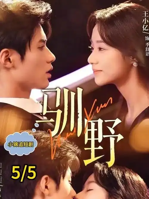 深宫谍影·暗流在线观看